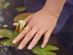 Maanesten Bay Ring Ring Gull