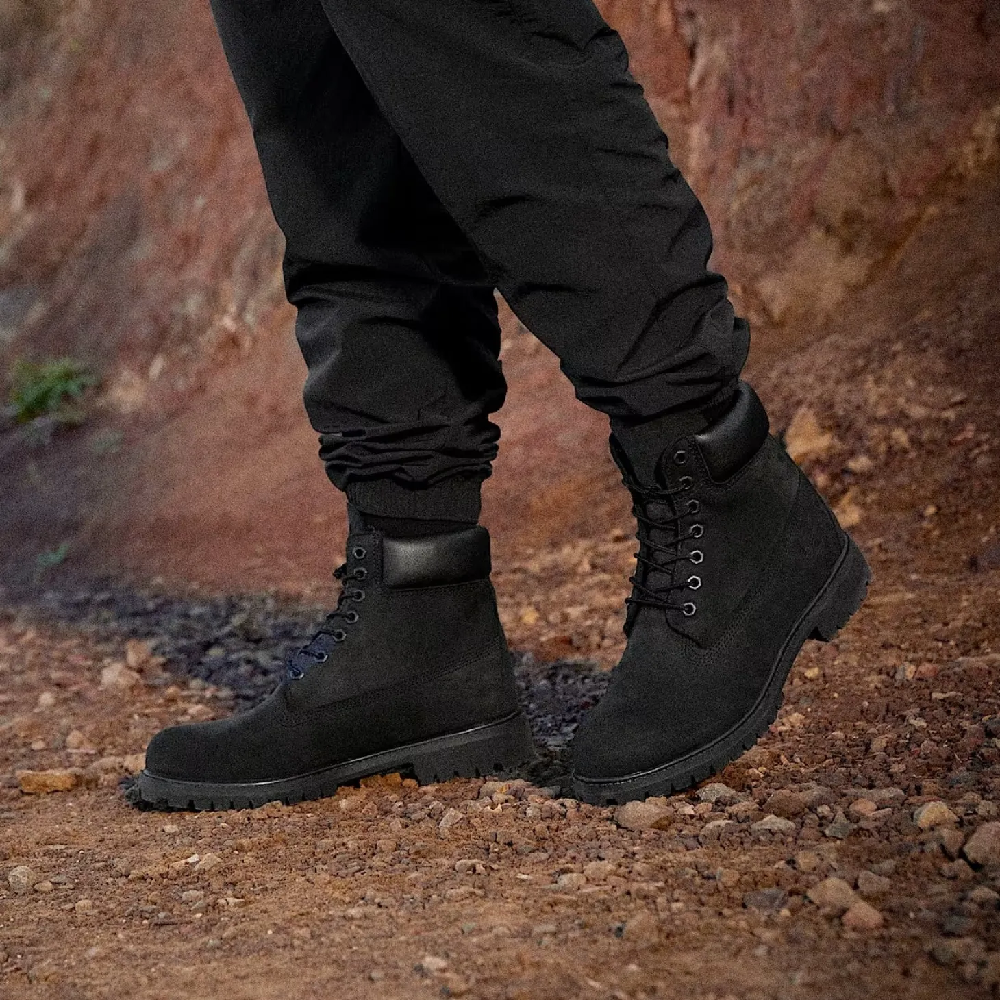 Timberland Timberland Premium 6 INCH Sko Sort