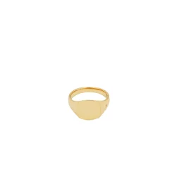 Tom Wood Mini Cushion Gold Ring Gull